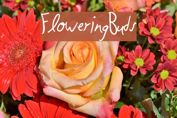 FloweringBuds Font examples