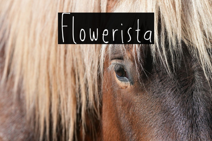 Flowerista Example 2