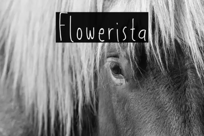 Flowerista Font examples