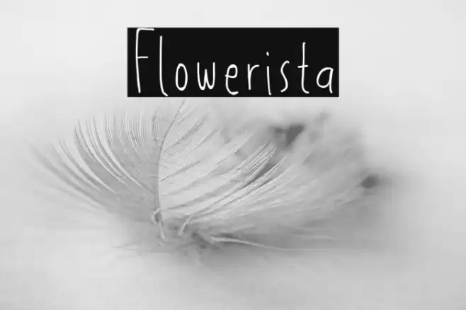 Flowerista Font examples