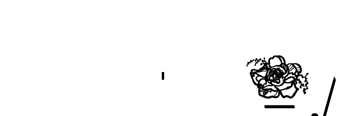 Flowers Cube Font OTHER CHARS