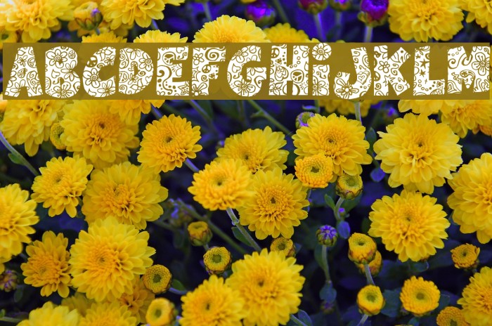 Flowers Power Nega Example 1