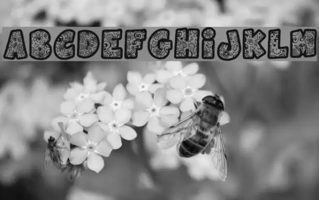 Flowers Power Font examples