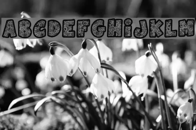 Flowers Power Font examples