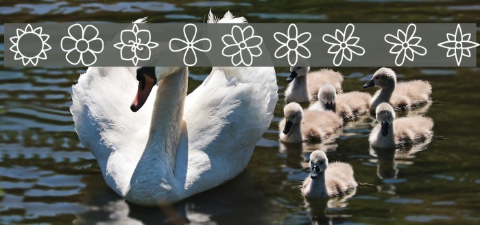 Flowers St Font examples