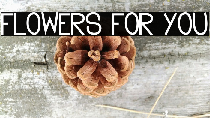 Flowers for you Font examples