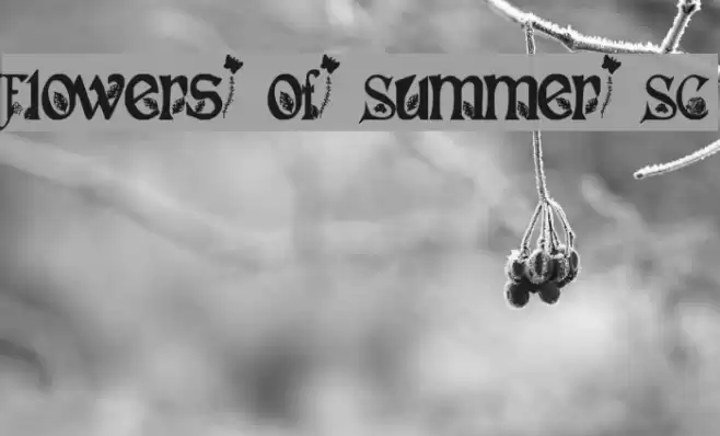 Flowers of Summer SC Font examples