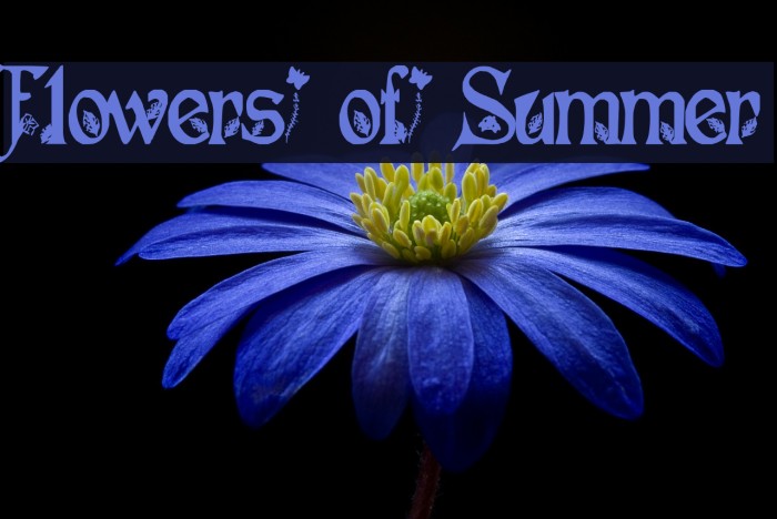 Flowers of Summer Font examples