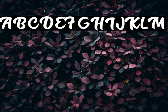 Flowers of summer Personal Use  Example 3