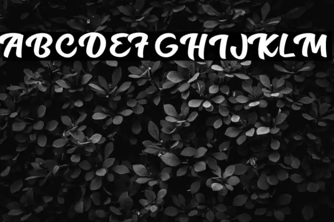 Flowers of summer Personal Use  Font examples