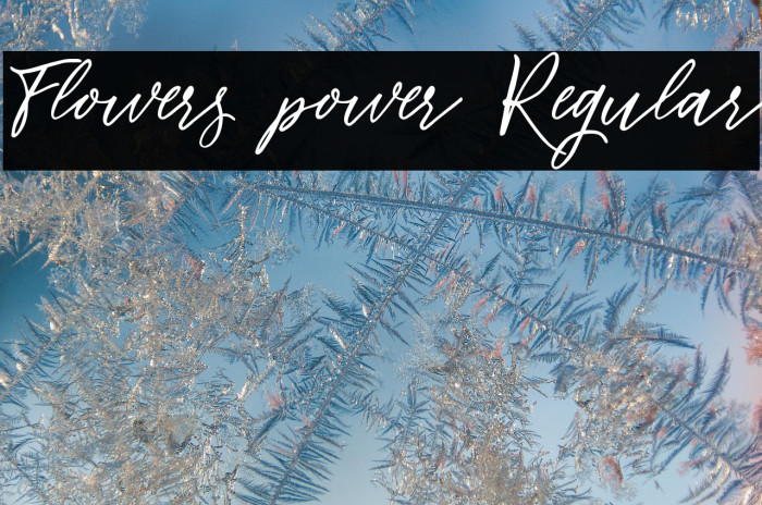 Flowers power Regular Example 3