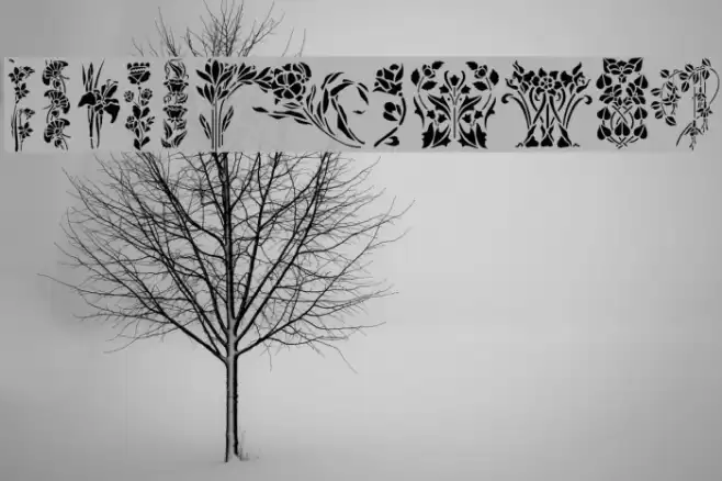 Flowers1 Font examples