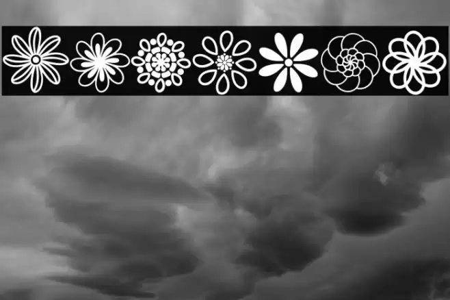 Flowery Polices examples