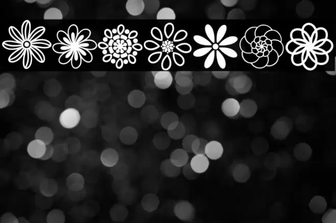 Flowery Polices examples