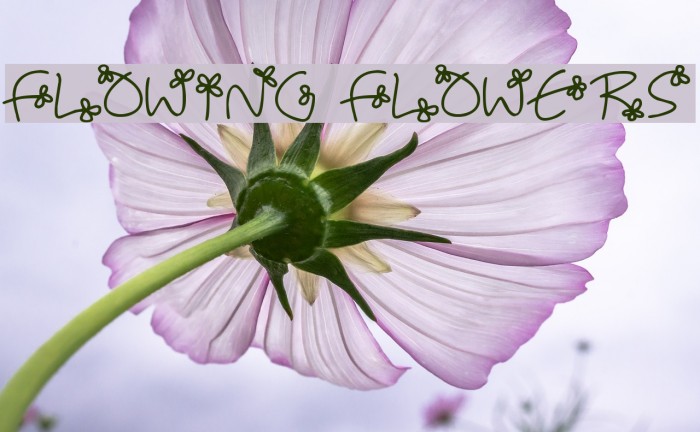 Flowing Flowers Example 2