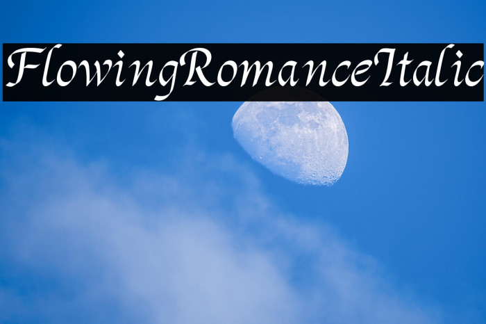 Flowing Romance Italic Example 1