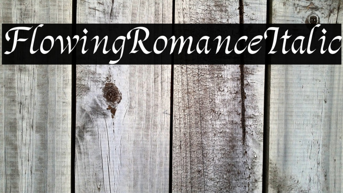 Flowing Romance Italic Example 2