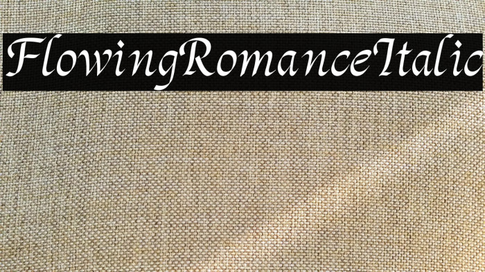 Flowing Romance Italic Example 3