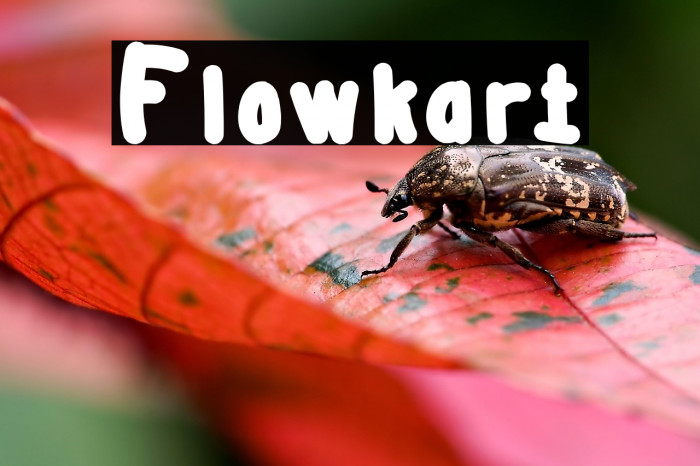 Flowkart Example 3