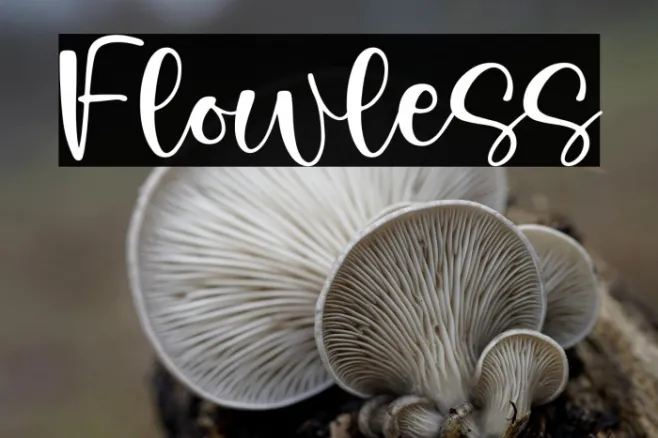 Flowless Example 1