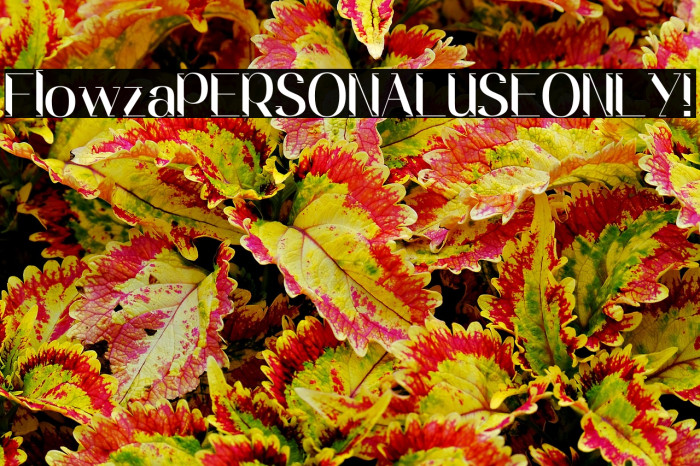 Flowza PERSONAL USE ONLY! Example 2