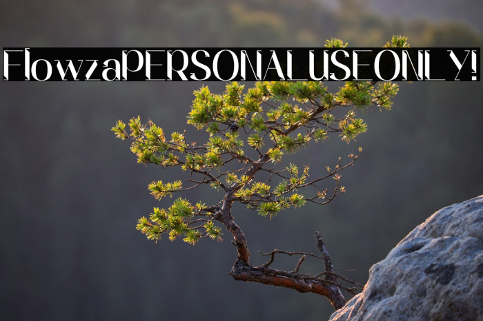 Flowza PERSONAL USE ONLY! Example 3