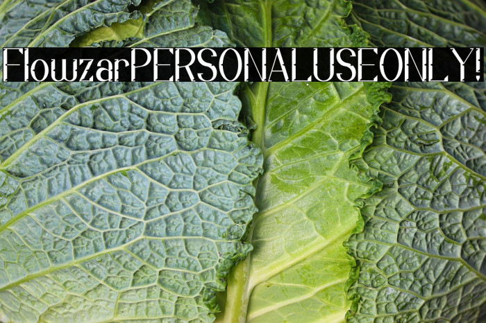 Flowzar PERSONAL USE ONLY! Example 1