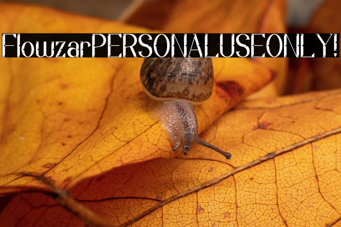 Flowzar PERSONAL USE ONLY! Example 3