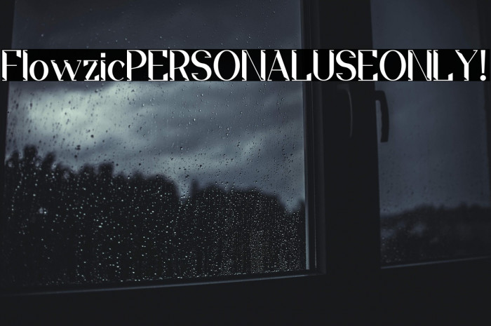 Flowzic PERSONAL USE ONLY! Example 3