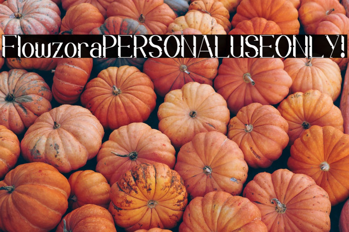 Flowzora PERSONAL USE ONLY! Example 1