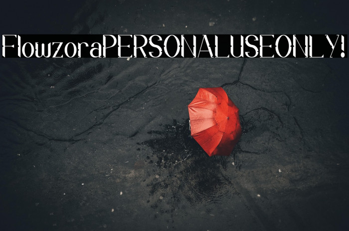 Flowzora PERSONAL USE ONLY! Example 2