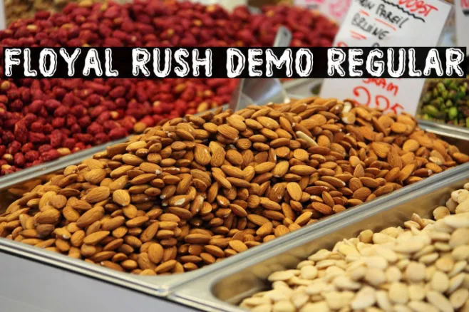 Floyal Rush DEMO Regular Example 3