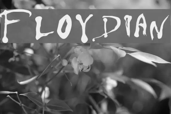 Floydian Font examples
