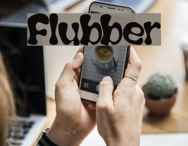 Flubber Example 1