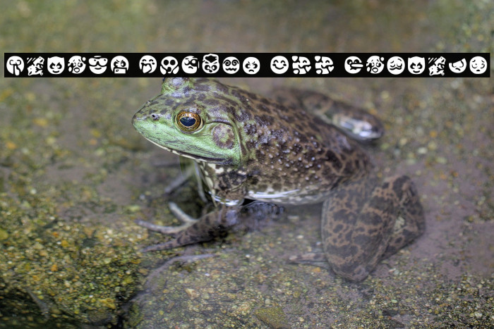 Fluent Emojis 133 Regular Example 3