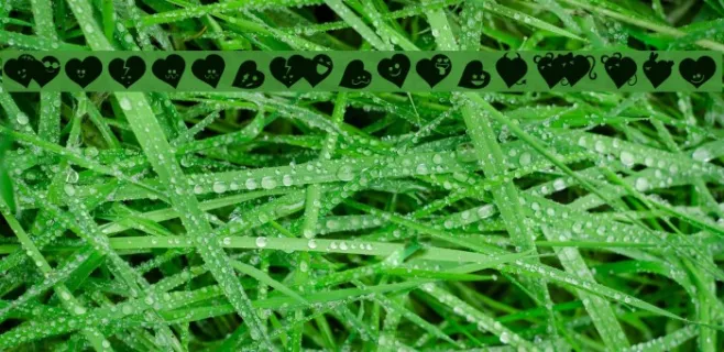 FluffyHeartsDing Example 1
