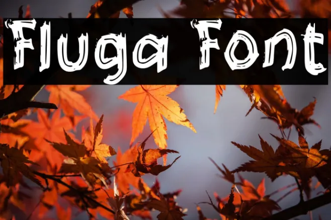 Fluga Example 2