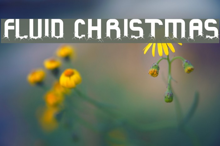 Fluid Christmas Font examples