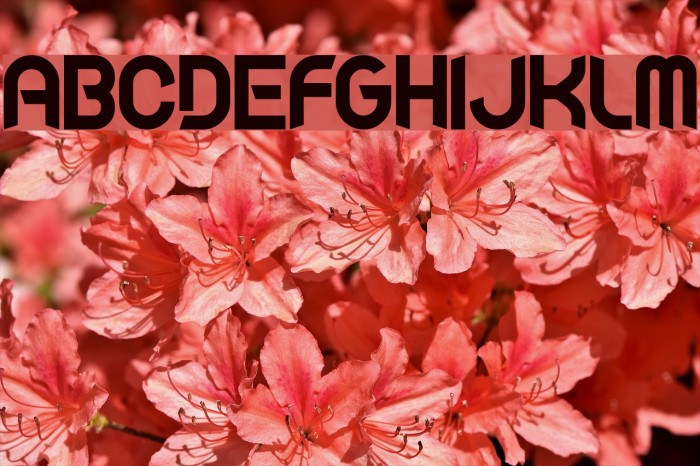 Fluid Lighter Example 1