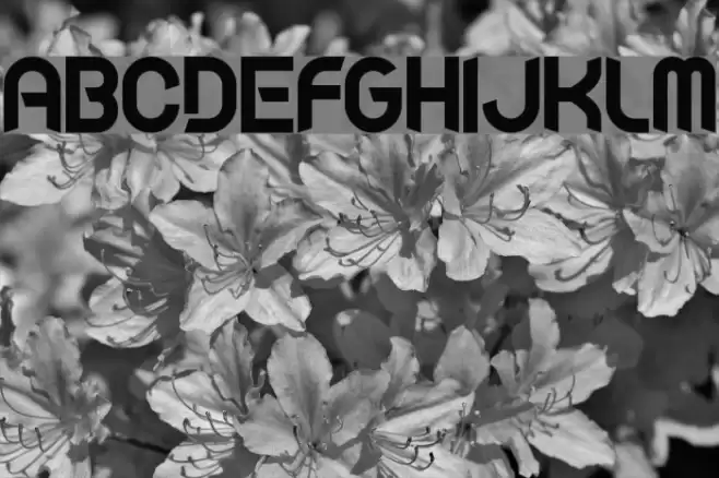 Fluid Lighter Font examples