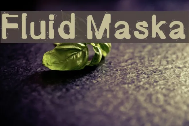Fluid Maska Example 1