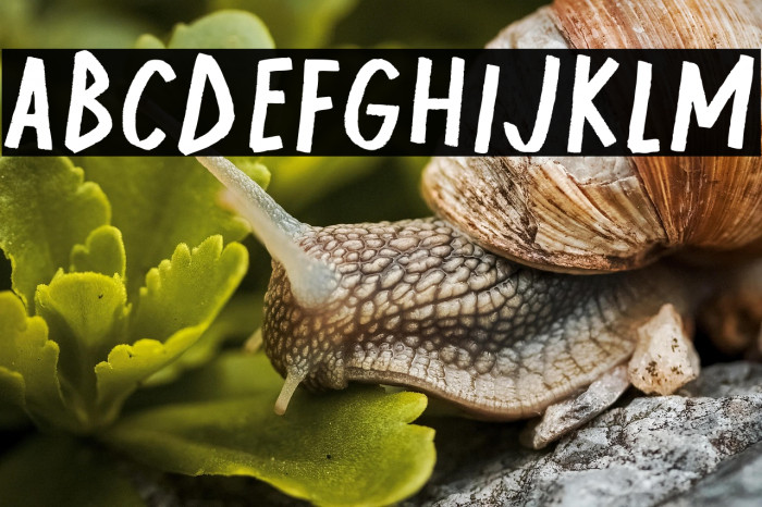 Fluid Motion Example 2