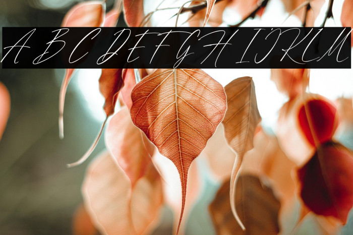 FlumberyWhiteDEMO Example 3