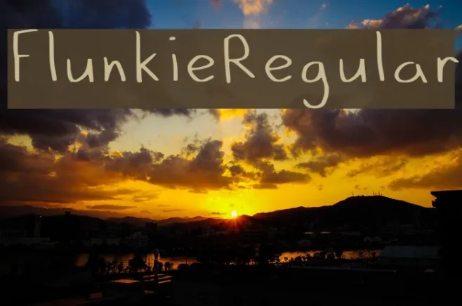 Flunkie_Regular Example 2