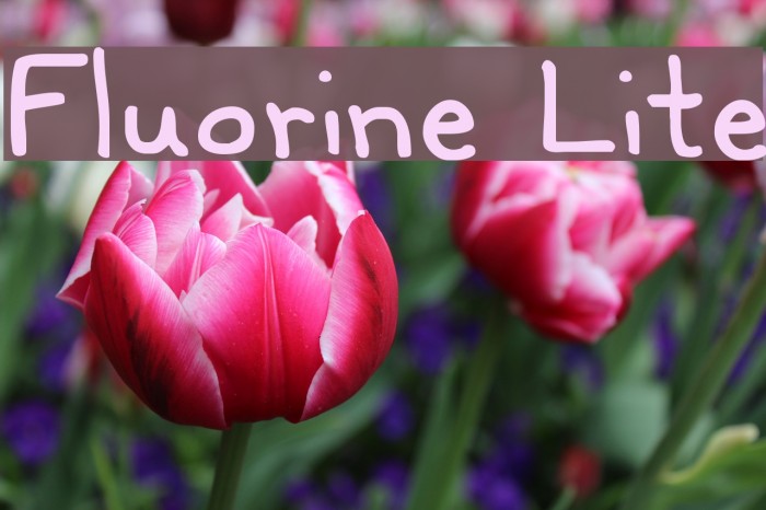 Fluorine Lite Example 2