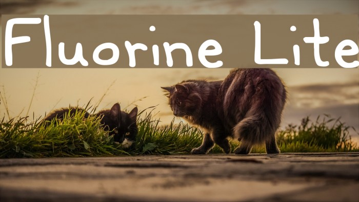 Fluorine Lite Example 3