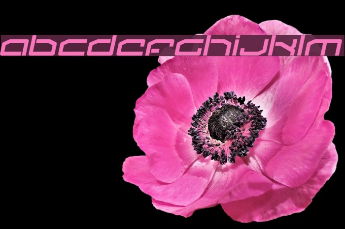 Fluster-Italic Example 3