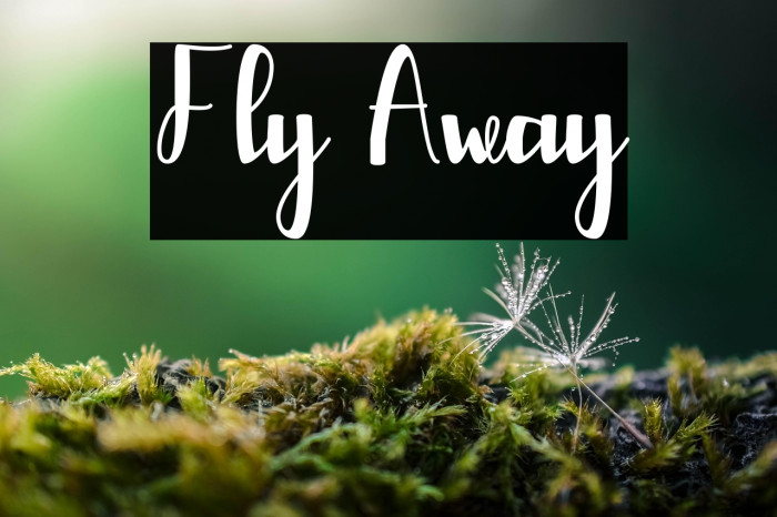 Fly Away Example 3