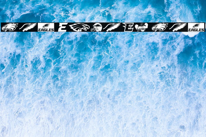 Fly Eagles Fly Example 2