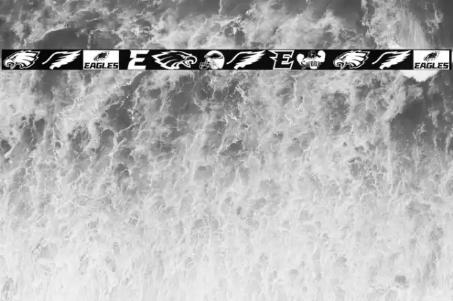 Fly Eagles Fly Font examples